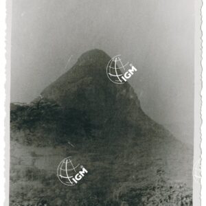 T. Gergo - FT00001165