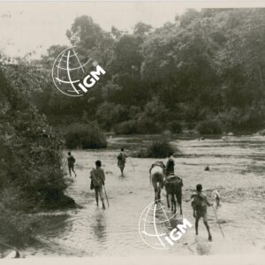 Guado Didessa Molco Lugama - FT00001169