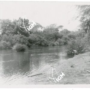 Birbir - FT00001173