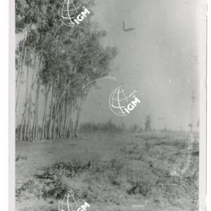 Uollega - FT00001174