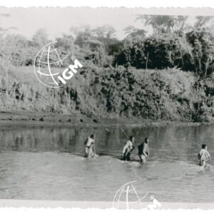 Uollega - FT00001176