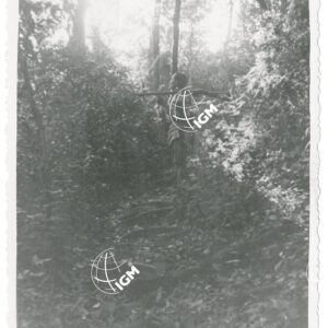 Attala Baccio nella foresta Uollega - FT00001183