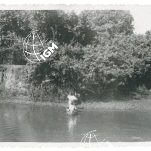 F. Birbir Bidemì - FT00001196