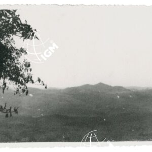 T. Gokir - FT00001198