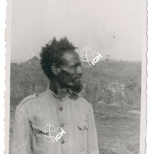 Frengi Babell - FT00001209