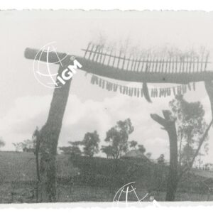 membri virili a Gangi - FT00001216