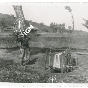 telaio Alle - FT00001223