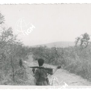 cavallette - FT00001239