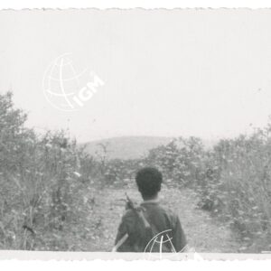 cavallette - FT00001241