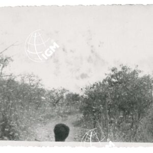 cavallette - FT00001244