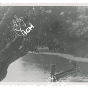 F. Birbir Bidemù del T. Benai - FT00001247
