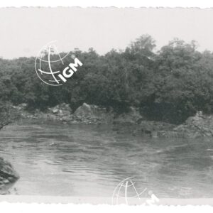 il Birbir - FT00001249