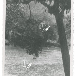 F. Birbir - FT00001250