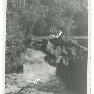 F. Ua cascata - FT00001252