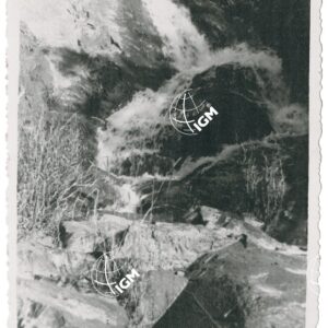 Cascata L. finciau - FT00001256