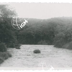 F. Birbir - FT00001259