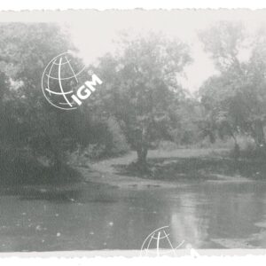 Birbir - FT00001262