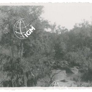 Ua - FT00001263