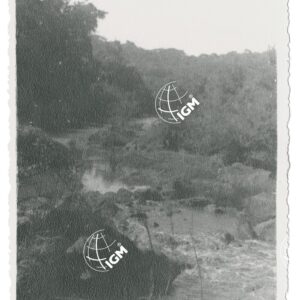 Ua - FT00001266