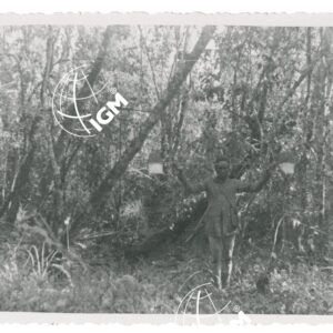 Attalà Bacciò canneggiatore F. Bikir - FT00001276