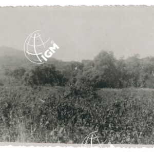 la Ciaka - FT00001287