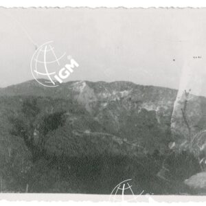 T. Kake Uollega - FT00001291