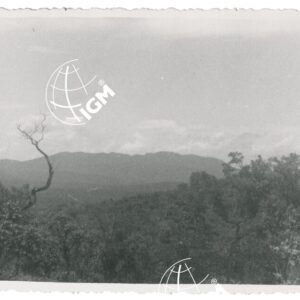 T. Benai - FT00001295