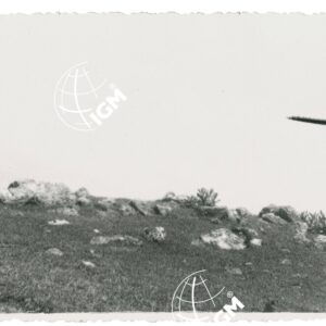 affioramenti di quarzo Gulisso - FT00001297