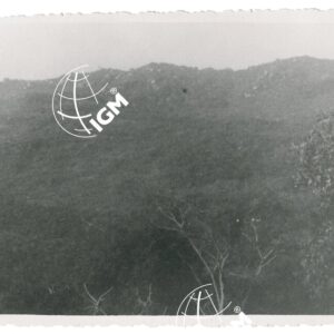 Kake Uollega - FT00001298