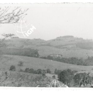 Boggi panorama - FT00001305