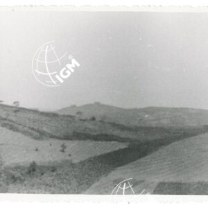 Tullu Dolatti Uangio - FT00001306