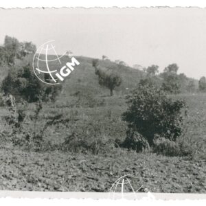 Uollega - FT00001308