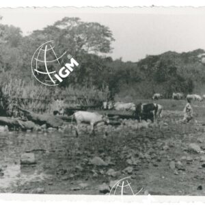 Harà Ua - FT00001323