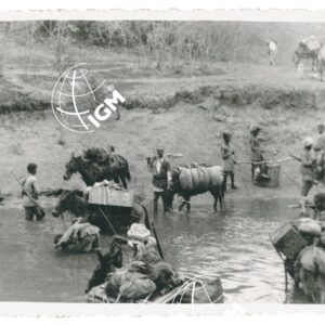 guado dell'Ua - FT00001336