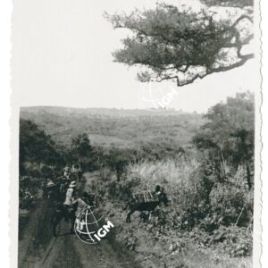 carovana in marcia - FT00001338