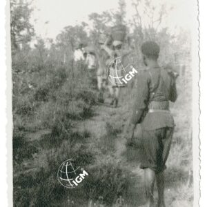 il caprone nella Ciaka - FT00001340