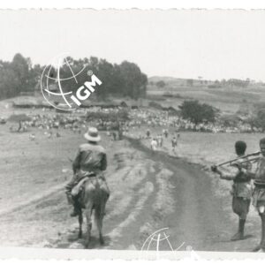 Gababilla - FT00001342