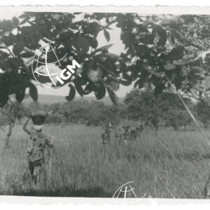 nella Ciaka - FT00001344