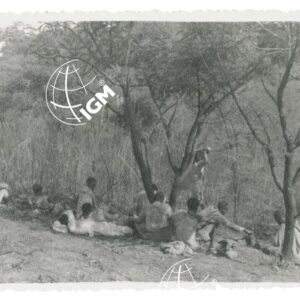 carovana - FT00001346
