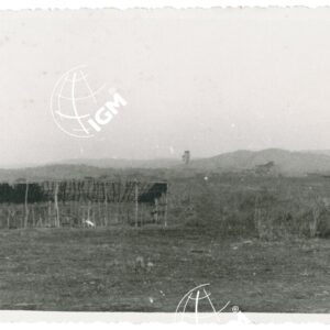 Ghidda - FT00001350
