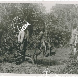 F. Bikir - FT00001354