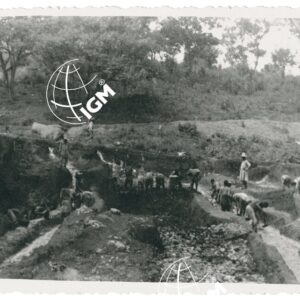 Ubarà lavori per oro - FT00001361