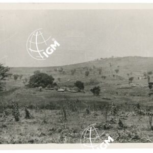 Uollega - FT00001372