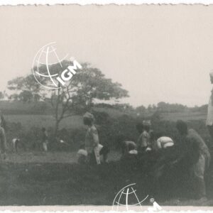 lavori - FT00001403