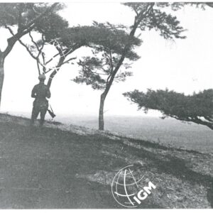 la sentinella Gudrù - FT00001429