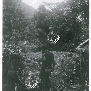 nella foresta del fiume Birbir - FT00001436