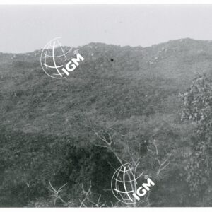 il Kake Uollega la montagna di Uabarà - FT00001438