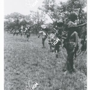 in marcia nella savana del basso Birbir - FT00001445