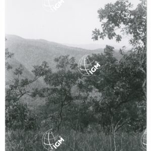 la savana del basso Birbir - FT00001448