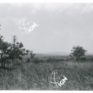la savana del basso Birbir - FT00001449